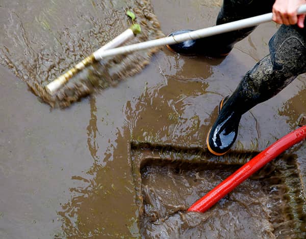 Expert Sewage Cleanup Services