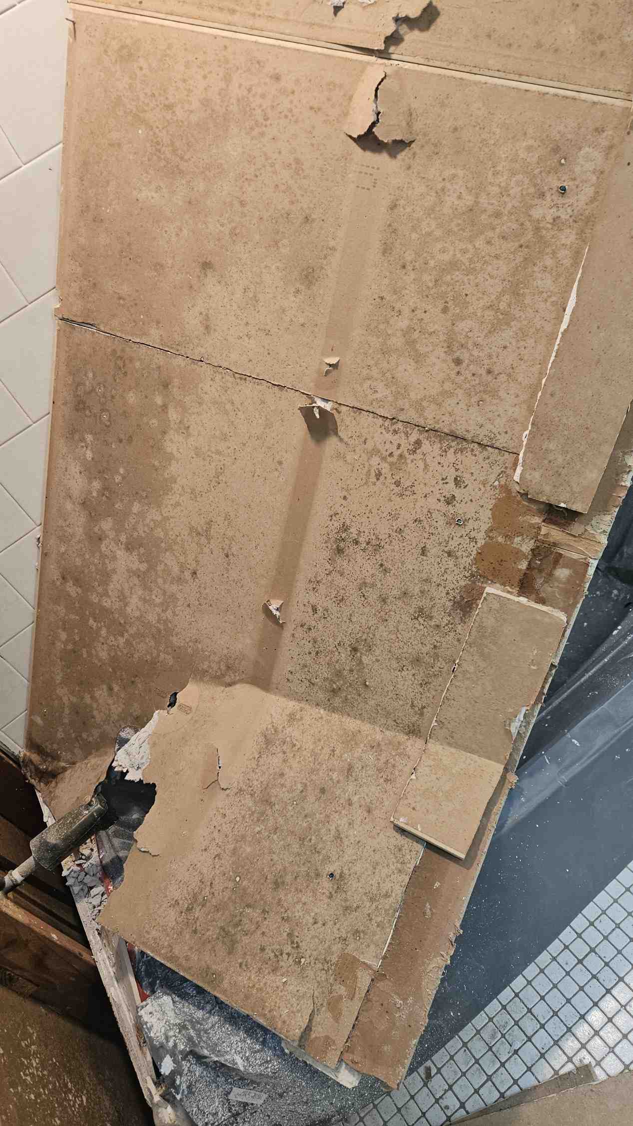 Gallery Gallery Wall Mold 2 1743528707 1744424969 Jpg