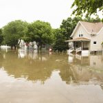 Gallery Flood 3 1755014979 Jpg